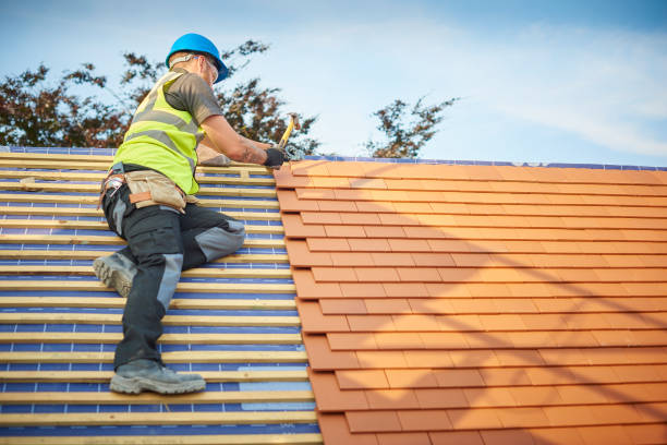 Best Sheet Metal Roofing  in Altamont, TN